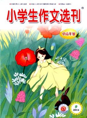 小学生作文选刊